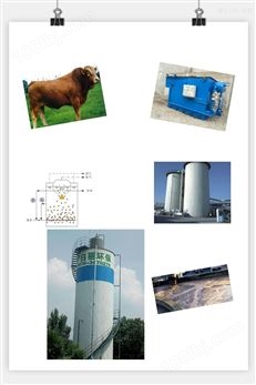 南阳牛养殖污水处理设备RL-UASB反应器