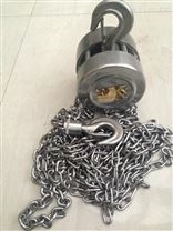 不锈钢电动葫芦-DHS-链条葫芦