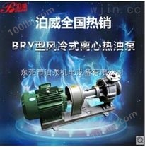 东莞 泊泵 RY65-40-250A 高温导热油泵